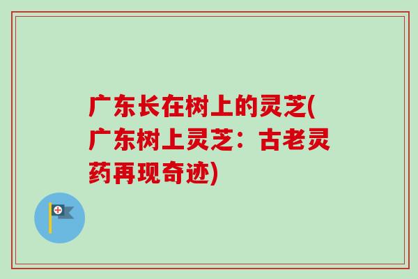 广东长在树上的灵芝(广东树上灵芝：古老灵药再现奇迹)