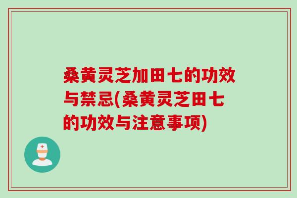 桑黄灵芝加田七的功效与禁忌(桑黄灵芝田七的功效与注意事项)