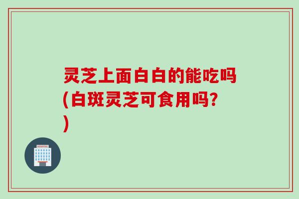 灵芝上面白白的能吃吗(白斑灵芝可食用吗?) 灵芝上面白白的能吃吗(白斑灵芝可食用吗?)