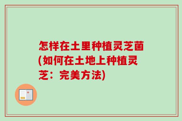 怎样在土里种植灵芝菌(如何在土地上种植灵芝：完美方法)