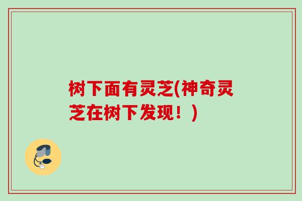 树下面有灵芝(神奇灵芝在树下发现！)