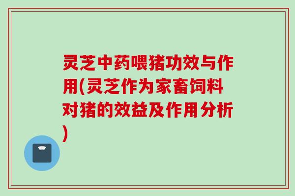灵芝中药喂猪功效与作用(灵芝作为家畜饲料对猪的效益及作用分析)