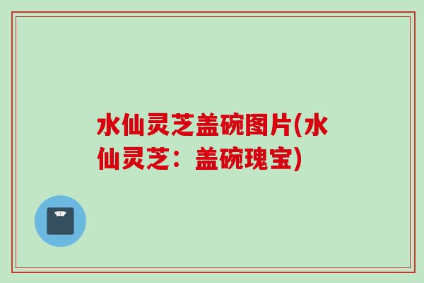 水仙灵芝盖碗图片(水仙灵芝:盖碗瑰宝) 水仙灵芝盖碗图片(水仙灵芝:盖碗瑰宝)