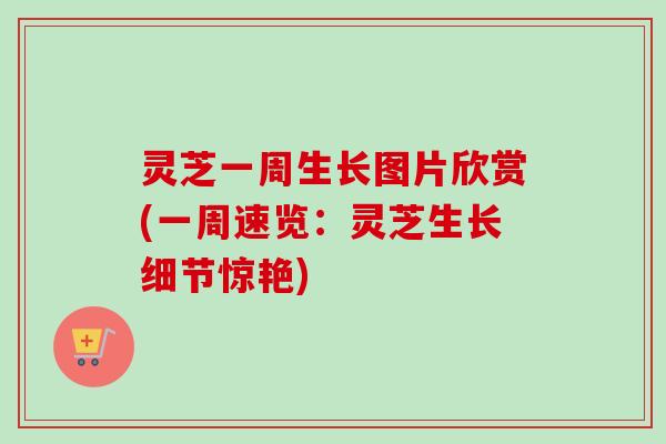 灵芝一周生长图片欣赏(一周速览：灵芝生长细节惊艳)