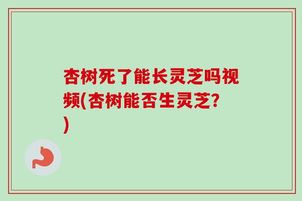 杏树死了能长灵芝吗视频(杏树能否生灵芝？)