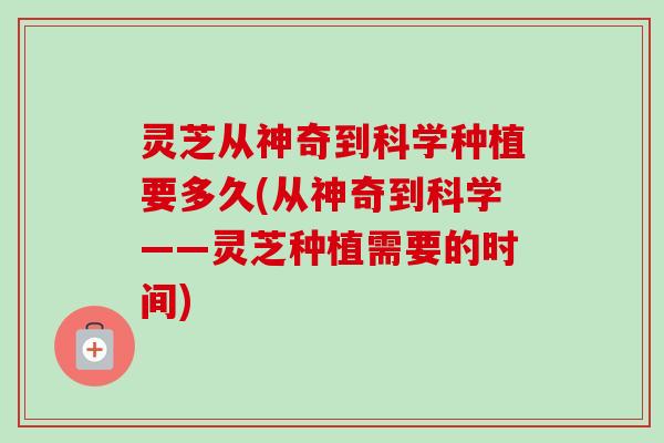 灵芝从神奇到科学种植要多久(从神奇到科学——灵芝种植需要的时间)
