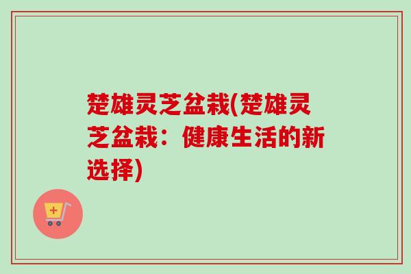 楚雄灵芝盆栽(楚雄灵芝盆栽：健康生活的新选择)
