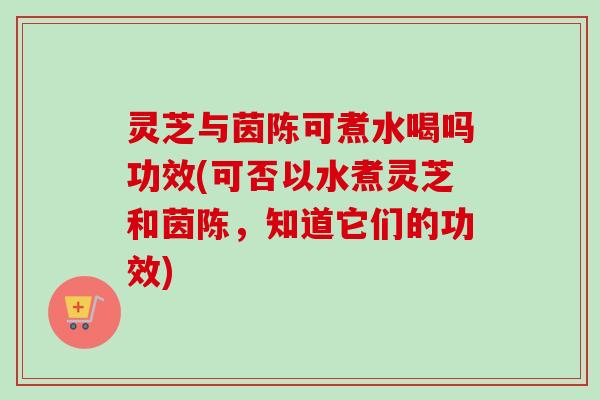 灵芝与茵陈可煮水喝吗功效(可否以水煮灵芝和茵陈,知道它们的功效) 灵芝与茵陈可煮水喝吗功效(可否以水煮灵芝和茵陈,知道它们的功效)