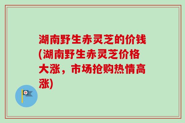 湖南野生赤灵芝的价钱(湖南野生赤灵芝价格大涨，市场抢购热情高涨)