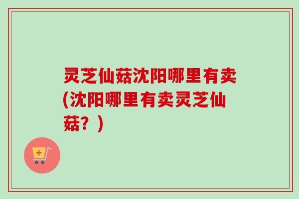 灵芝仙菇沈阳哪里有卖(沈阳哪里有卖灵芝仙菇？)