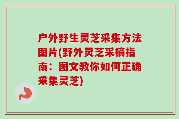 户外野生灵芝采集方法图片(野外灵芝采摘指南：图文教你如何正确采集灵芝)