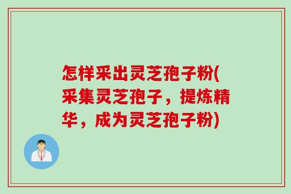 怎样采出灵芝孢子粉(采集灵芝孢子，提炼精华，成为灵芝孢子粉)