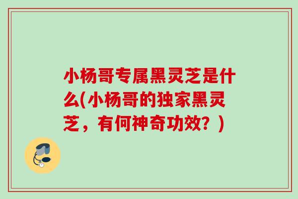 小杨哥专属黑灵芝是什么(小杨哥的独家黑灵芝，有何神奇功效？)