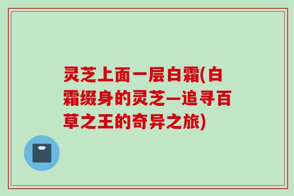 灵芝上面一层白霜(白霜缀身的灵芝―追寻百草之王的奇异之旅)