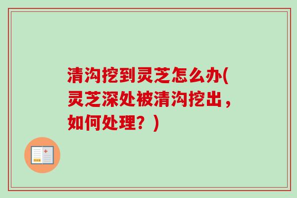 清沟挖到灵芝怎么办(灵芝深处被清沟挖出，如何处理？)