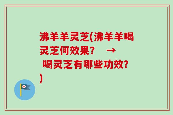沸羊羊灵芝(沸羊羊喝灵芝何效果? → 喝灵芝有哪些功效?) 沸羊羊灵芝(沸羊羊喝灵芝何效果? → 喝灵芝有哪些功效?)