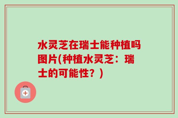 水灵芝在瑞士能种植吗图片(种植水灵芝：瑞士的可能性？)