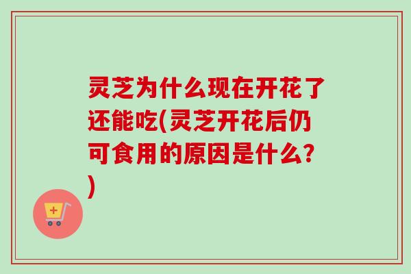 灵芝为什么现在开花了还能吃(灵芝开花后仍可食用的原因是什么？)