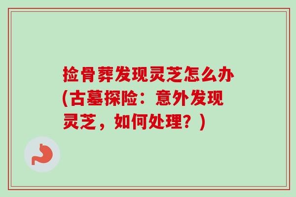 捡骨葬发现灵芝怎么办(古墓探险：意外发现灵芝，如何处理？)