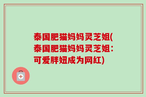 泰国肥猫妈妈灵芝姐(泰国肥猫妈妈灵芝姐:可爱胖妞成为网红) 泰国肥猫妈妈灵芝姐(泰国肥猫妈妈灵芝姐:可爱胖妞成为网红)