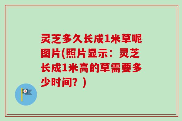 灵芝多久长成1米草呢图片(照片显示：灵芝长成1米高的草需要多少时间？)
