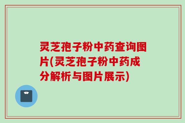 灵芝孢子粉中药查询图片(灵芝孢子粉中药成分解析与图片展示)