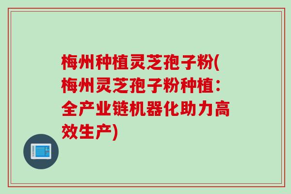 梅州种植灵芝孢子粉(梅州灵芝孢子粉种植：全产业链机器化助力高效生产)