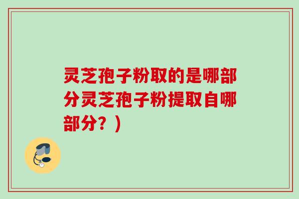 灵芝孢子粉取的是哪部分灵芝孢子粉提取自哪部分？)