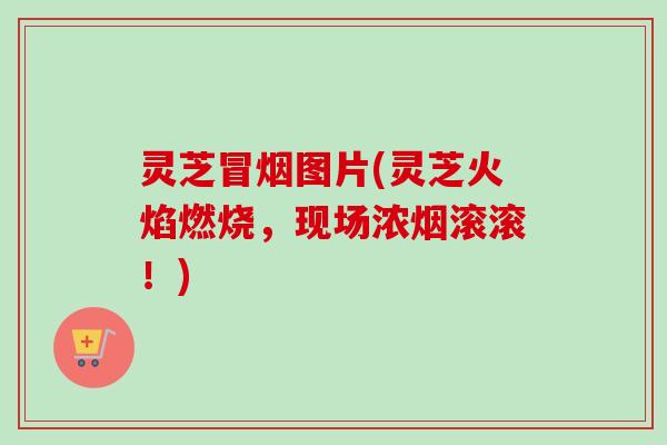 灵芝冒烟图片(灵芝火焰燃烧，现场浓烟滚滚！)