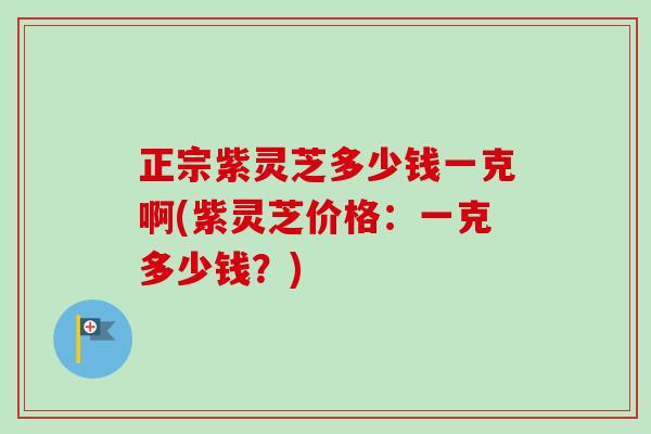 正宗紫灵芝多少钱一克啊(紫灵芝价格：一克多少钱？)