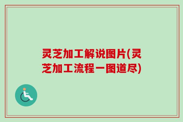 灵芝加工解说图片(灵芝加工流程一图道尽)