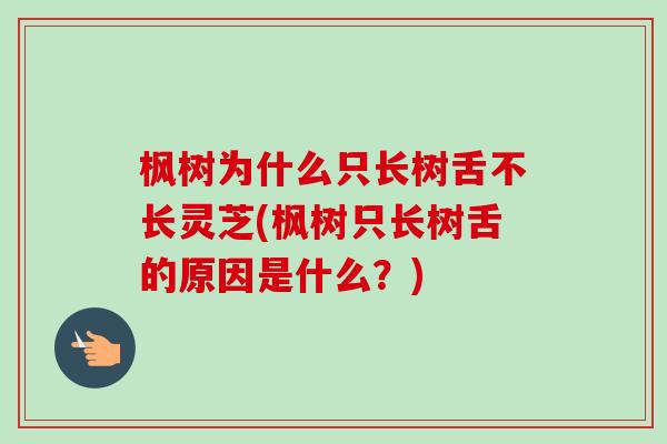 枫树为什么只长树舌不长灵芝(枫树只长树舌的原因是什么？)