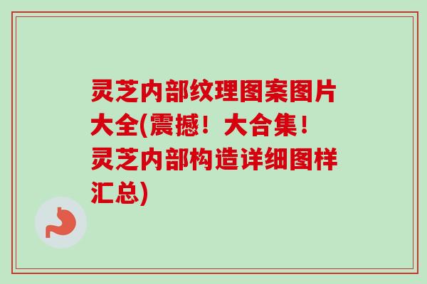 灵芝内部纹理图案图片大全(震撼!大合集!灵芝内部构造详细图样汇总) 灵芝内部纹理图案图片大全(震撼!大合集!灵芝内部构造详细图样汇总)