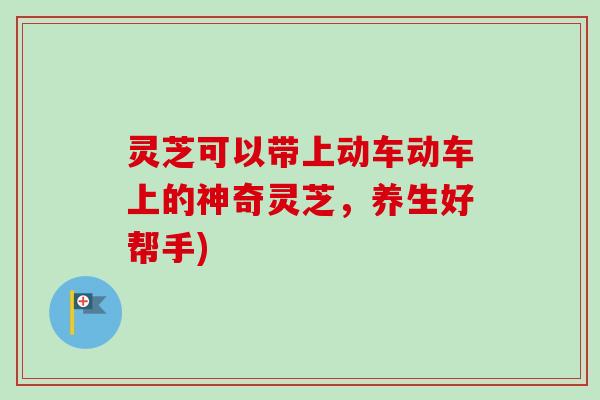 灵芝可以带上动车动车上的神奇灵芝，养生好帮手)