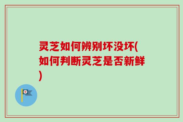 灵芝如何辨别坏没坏(如何判断灵芝是否新鲜)