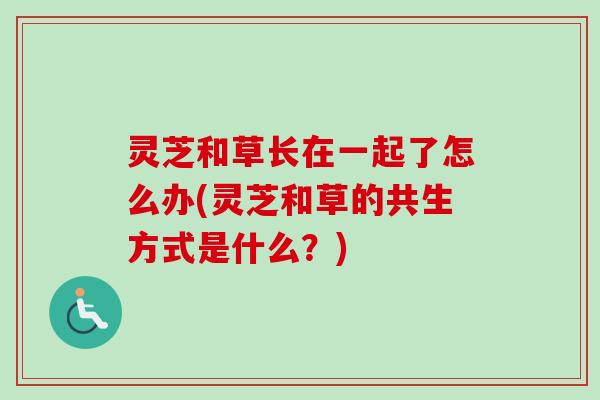 灵芝和草长在一起了怎么办(灵芝和草的共生方式是什么？)