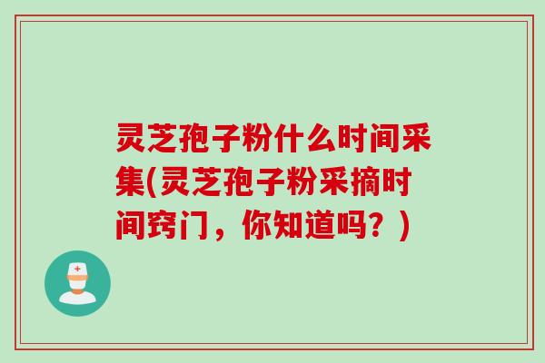 灵芝孢子粉什么时间采集(灵芝孢子粉采摘时间窍门，你知道吗？)