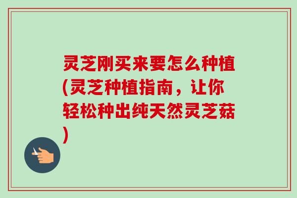 灵芝刚买来要怎么种植(灵芝种植指南，让你轻松种出纯天然灵芝菇)