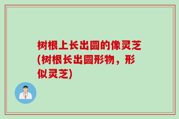 树根上长出圆的像灵芝(树根长出圆形物，形似灵芝)