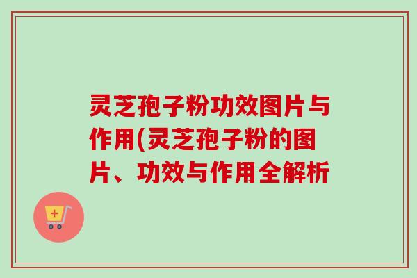 灵芝孢子粉功效图片与作用(灵芝孢子粉的图片、功效与作用全解析 灵芝孢子粉功效图片与作用(灵芝孢子粉的图片、功效与作用全解析