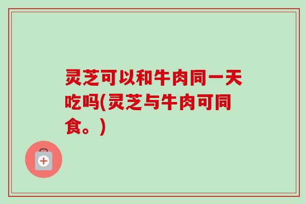 灵芝可以和牛肉同一天吃吗(灵芝与牛肉可同食。)