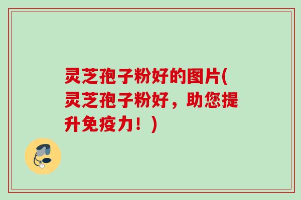 灵芝孢子粉好的图片(灵芝孢子粉好，助您提升免疫力！)