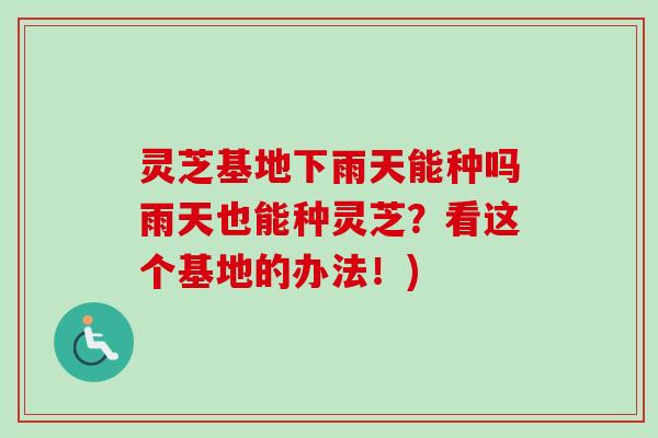 灵芝基地下雨天能种吗雨天也能种灵芝？看这个基地的办法！)