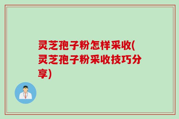 灵芝孢子粉怎样采收(灵芝孢子粉采收技巧分享)