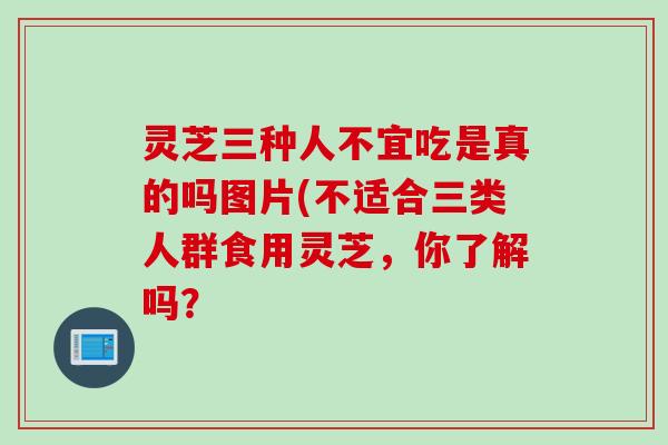 灵芝三种人不宜吃是真的吗图片(不适合三类人群食用灵芝，你了解吗？