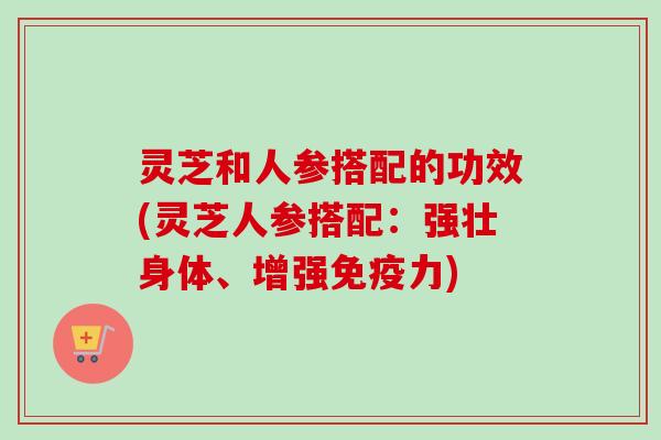 灵芝和人参搭配的功效(灵芝人参搭配：强壮身体、增强免疫力)