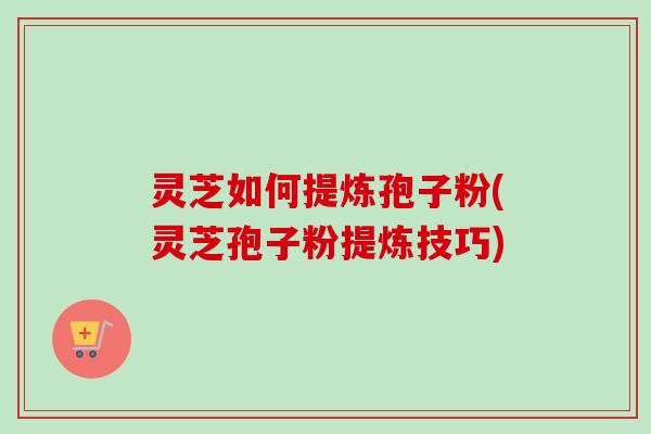 灵芝如何提炼孢子粉(灵芝孢子粉提炼技巧)