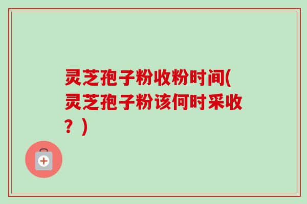 灵芝孢子粉收粉时间(灵芝孢子粉该何时采收？)