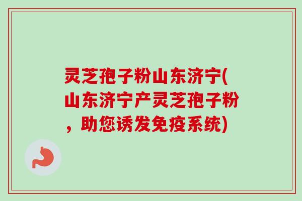 灵芝孢子粉山东济宁(山东济宁产灵芝孢子粉，助您诱发免疫系统)