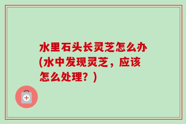 水里石头长灵芝怎么办(水中发现灵芝，应该怎么处理？)